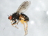  ( - 09BBEDI-1893)  @13 [ ] CreativeCommons - Attribution (2010) Unspecified Centre for Biodiversity Genomics