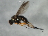  ( - 09BBEDI-1903)  @13 [ ] CreativeCommons - Attribution (2010) Unspecified Centre for Biodiversity Genomics