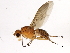  ( - 09BBEDI-1906)  @14 [ ] CreativeCommons - Attribution (2010) Unspecified Centre for Biodiversity Genomics