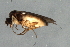 ( - 09BBEDI-1919)  @12 [ ] CreativeCommons - Attribution (2010) Unspecified Centre for Biodiversity Genomics