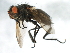  ( - 09BBEDI-1939)  @14 [ ] CreativeCommons - Attribution (2010) Unspecified Centre for Biodiversity Genomics