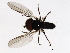  ( - 09BBEDI-1615)  @13 [ ] CreativeCommons - Attribution (2010) Unspecified Centre for Biodiversity Genomics