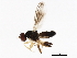  ( - 09BBEDI-1629)  @13 [ ] CreativeCommons - Attribution (2010) Unspecified Centre for Biodiversity Genomics