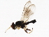  ( - 09BBEDI-1630)  @12 [ ] CreativeCommons - Attribution (2010) Unspecified Centre for Biodiversity Genomics