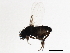  ( - 09BBEDI-1658)  @12 [ ] CreativeCommons - Attribution (2010) Unspecified Centre for Biodiversity Genomics