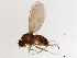  ( - 09BBEDI-1660)  @13 [ ] CreativeCommons - Attribution (2010) Unspecified Centre for Biodiversity Genomics