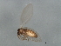  ( - 09BBEDI-1782)  @12 [ ] CreativeCommons - Attribution (2010) Unspecified Centre for Biodiversity Genomics