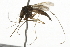  ( - 09BBEDI-1087)  @13 [ ] CreativeCommons - Attribution (2010) Unspecified Centre for Biodiversity Genomics