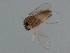  ( - 09BBEDI-2101)  @12 [ ] CreativeCommons - Attribution (2010) Unspecified Centre for Biodiversity Genomics