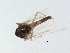  ( - 09BBEDI-2102)  @12 [ ] CreativeCommons - Attribution (2010) Unspecified Centre for Biodiversity Genomics