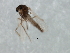  ( - 09BBEDI-2129)  @12 [ ] CreativeCommons - Attribution (2010) Unspecified Centre for Biodiversity Genomics