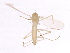  ( - 09BBEDI-2173)  @12 [ ] CreativeCommons - Attribution (2010) CBG Photography Group Centre for Biodiversity Genomics