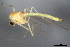  ( - 09BBEDI-2473)  @13 [ ] CreativeCommons - Attribution (2010) CBG Photography Group Centre for Biodiversity Genomics