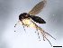  ( - 09BBEDI-2504)  @13 [ ] CreativeCommons - Attribution (2010) CBG Photography Group Centre for Biodiversity Genomics