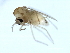  ( - 09BBEDI-2619)  @12 [ ] CreativeCommons - Attribution (2010) CBG Photography Group Centre for Biodiversity Genomics
