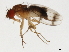  ( - 09BBEDI-2026)  @13 [ ] CreativeCommons - Attribution (2010) Unspecified Centre for Biodiversity Genomics