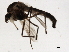  ( - 09BBEDI-2041)  @12 [ ] CreativeCommons - Attribution (2010) Unspecified Centre for Biodiversity Genomics