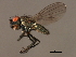  ( - 08BBDIP-2235)  @13 [ ] CreativeCommons - Attribution (2009) Unspecified Centre for Biodiversity Genomics