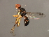  ( - 08BBDIP-2291)  @13 [ ] CreativeCommons - Attribution (2009) Unspecified Centre for Biodiversity Genomics