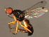  ( - 08BBDIP-2293)  @13 [ ] CreativeCommons - Attribution (2009) Unspecified Centre for Biodiversity Genomics
