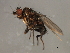  ( - 08BBDIP-2314)  @13 [ ] CreativeCommons - Attribution (2009) Unspecified Centre for Biodiversity Genomics