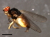  ( - 08BBDIP-2339)  @13 [ ] CreativeCommons - Attribution (2009) Unspecified Centre for Biodiversity Genomics