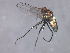  ( - 08BBDIP-2361)  @12 [ ] CreativeCommons - Attribution (2009) Unspecified Centre for Biodiversity Genomics