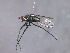  ( - 08BBDIP-2362)  @13 [ ] CreativeCommons - Attribution (2009) Unspecified Centre for Biodiversity Genomics