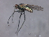  ( - 08BBDIP-2363)  @12 [ ] CreativeCommons - Attribution (2009) Unspecified Centre for Biodiversity Genomics