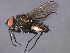  ( - 08BBDIP-2366)  @14 [ ] CreativeCommons - Attribution (2009) Unspecified Centre for Biodiversity Genomics