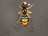  ( - 08BBDIP-2370)  @14 [ ] CreativeCommons - Attribution (2009) Unspecified Centre for Biodiversity Genomics