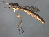  ( - 08BBDIP-2376)  @13 [ ] CreativeCommons - Attribution (2009) Unspecified Centre for Biodiversity Genomics