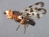  ( - 08BBDIP-2385)  @12 [ ] CreativeCommons - Attribution (2009) Unspecified Centre for Biodiversity Genomics