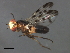  ( - 08BBDIP-2387)  @12 [ ] CreativeCommons - Attribution (2009) Unspecified Centre for Biodiversity Genomics