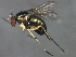  ( - 08BBDIP-2406)  @13 [ ] CreativeCommons - Attribution (2009) Unspecified Centre for Biodiversity Genomics