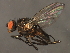  ( - 08BBDIP-2419)  @14 [ ] CreativeCommons - Attribution (2009) Unspecified Centre for Biodiversity Genomics