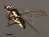  ( - 08BBDIP-2431)  @13 [ ] CreativeCommons - Attribution (2009) Unspecified Centre for Biodiversity Genomics