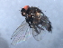  ( - 08BBDIP-2446)  @12 [ ] CreativeCommons - Attribution (2009) Unspecified Centre for Biodiversity Genomics