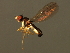  ( - 08BBDIP-2466)  @12 [ ] CreativeCommons - Attribution (2009) Unspecified Centre for Biodiversity Genomics