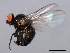  ( - 08BBDIP-2470)  @12 [ ] CreativeCommons - Attribution (2009) Unspecified Centre for Biodiversity Genomics