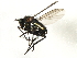  ( - 08BBDIP-2521)  @12 [ ] CreativeCommons - Attribution (2009) Unspecified Centre for Biodiversity Genomics