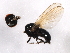 ( - 08BBDIP-2534)  @12 [ ] CreativeCommons - Attribution (2009) Unspecified Centre for Biodiversity Genomics