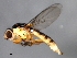  ( - 08BBDIP-2576)  @13 [ ] CreativeCommons - Attribution (2009) Unspecified Centre for Biodiversity Genomics