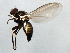  ( - 08BBDIP-2587)  @12 [ ] CreativeCommons - Attribution (2009) Unspecified Centre for Biodiversity Genomics