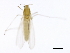  ( - 08BBDIP-2670)  @12 [ ] CreativeCommons - Attribution (2010) Unspecified Centre for Biodiversity Genomics