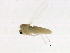  ( - 08BBDIP-2685)  @12 [ ] CreativeCommons - Attribution (2010) Unspecified Centre for Biodiversity Genomics
