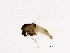  ( - 08BBDIP-2686)  @12 [ ] CreativeCommons - Attribution (2010) Unspecified Centre for Biodiversity Genomics