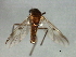  ( - 08BBDIP-2721)  @12 [ ] CreativeCommons - Attribution (2010) Unspecified Centre for Biodiversity Genomics