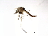  ( - 08BBDIP-2723)  @12 [ ] CreativeCommons - Attribution (2010) Unspecified Centre for Biodiversity Genomics