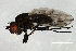  ( - 08BBDIP-2741)  @14 [ ] CreativeCommons - Attribution (2010) Unspecified Centre for Biodiversity Genomics